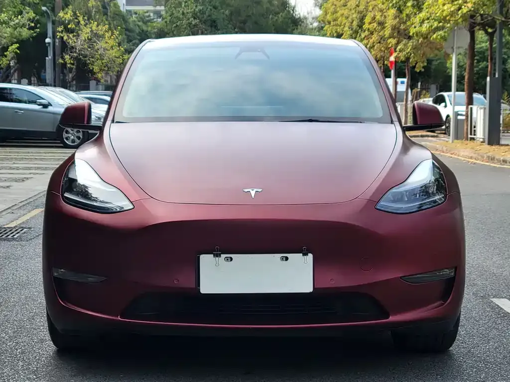 Tesla Model Y — фото 6