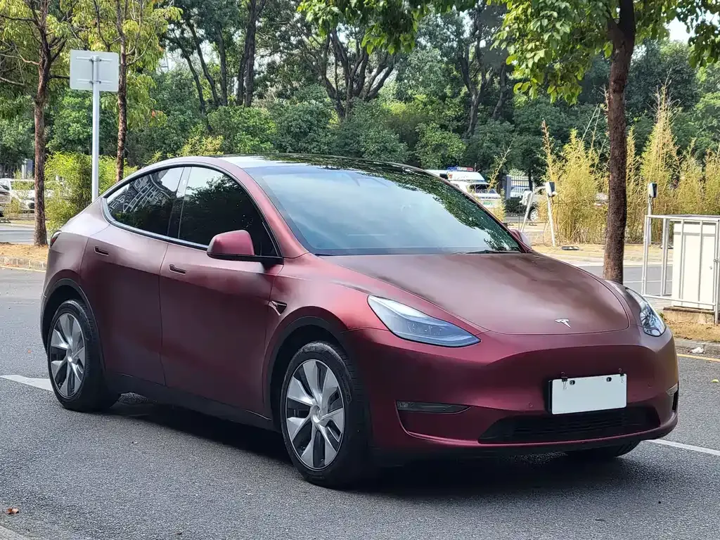 Tesla Model Y — фото 8