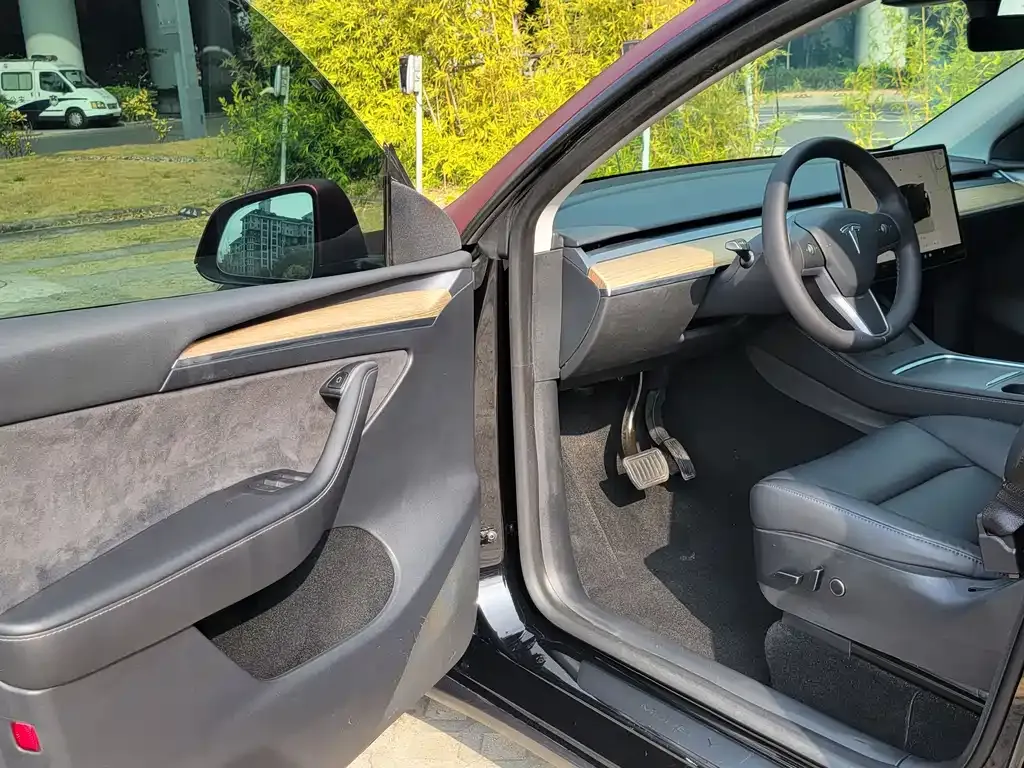 Tesla Model Y — фото 9