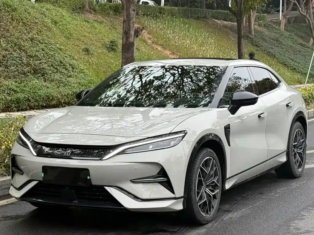BYD L EV 2024 из CN, фото 1