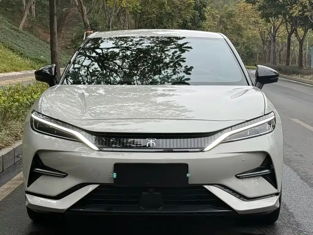 BYD L EV 2024 из CN, фото 3