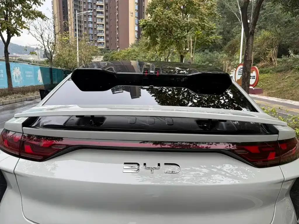 BYD L EV 2024 из CN, фото 9