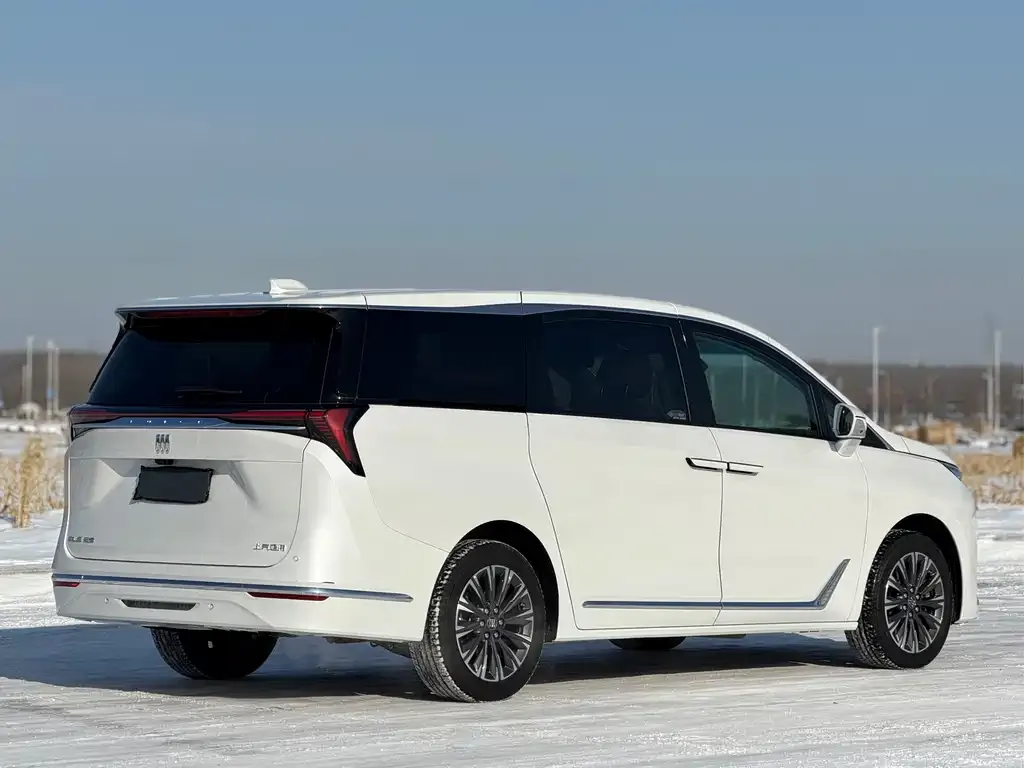 Buick GL8 2024 из CN, фото 3
