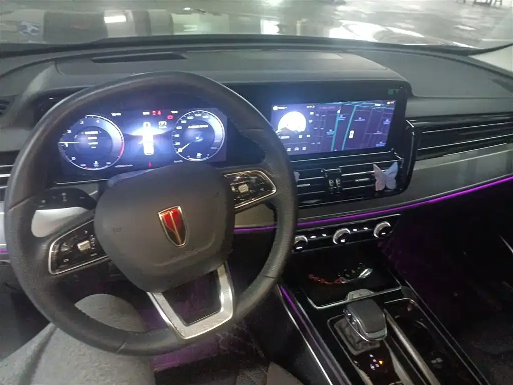 Hongqi HS5 2024 из CN, фото 10