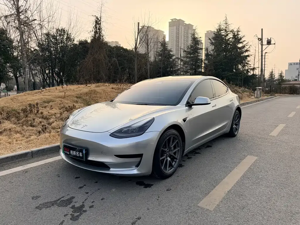 Tesla Model 3 2021 из CN, фото 1