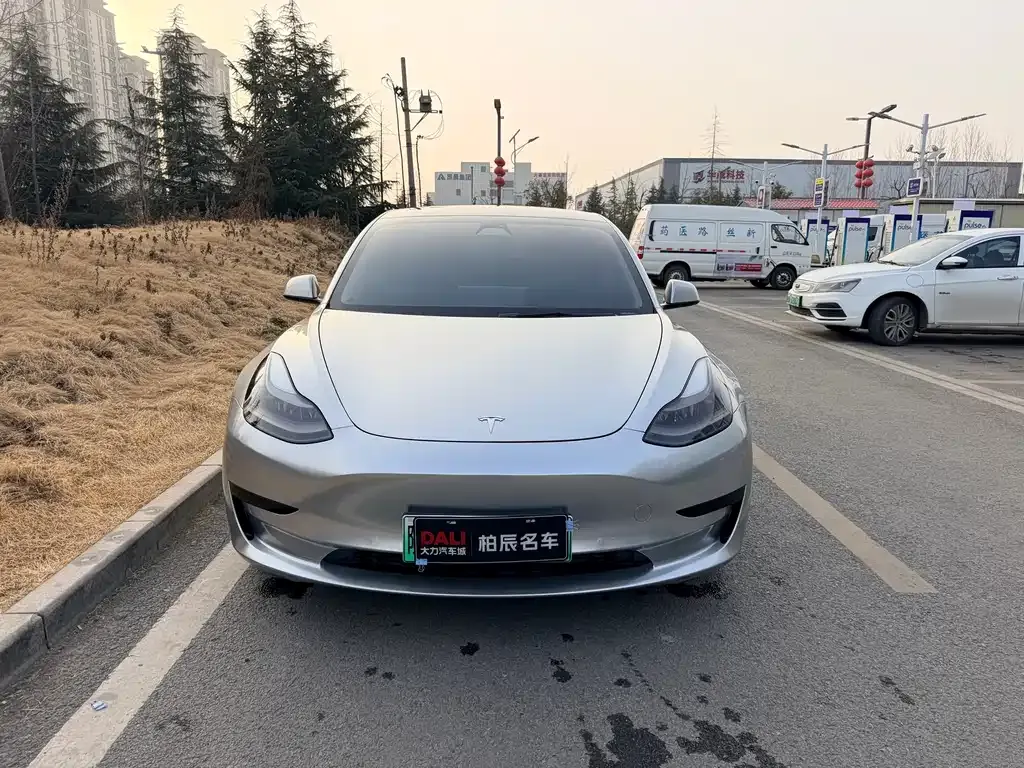 Tesla Model 3 2021 из CN, фото 8