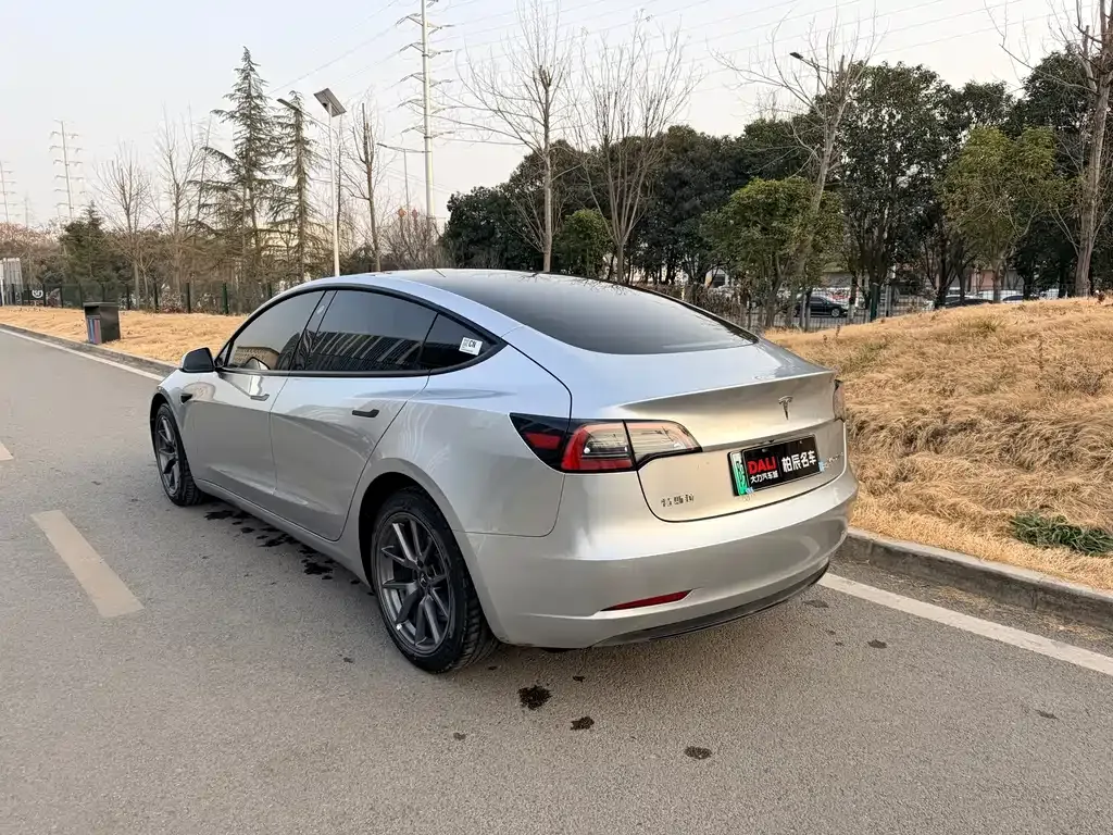 Tesla Model 3 2021 из CN, фото 6