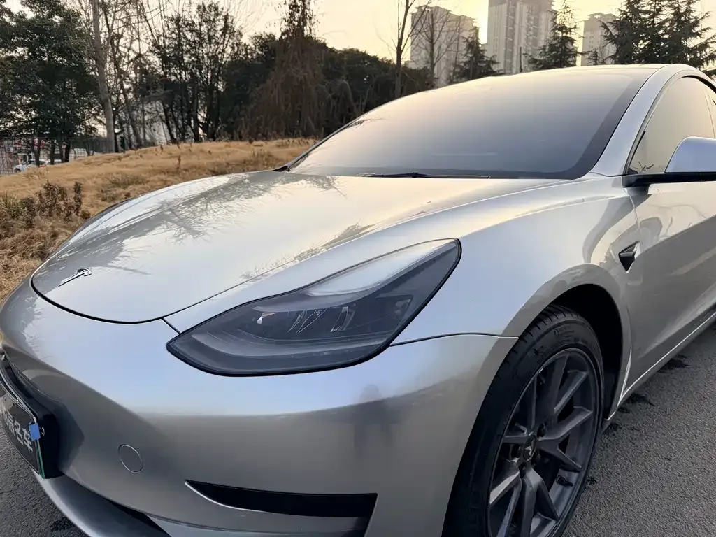 Tesla Model 3 2021 из CN, фото 7