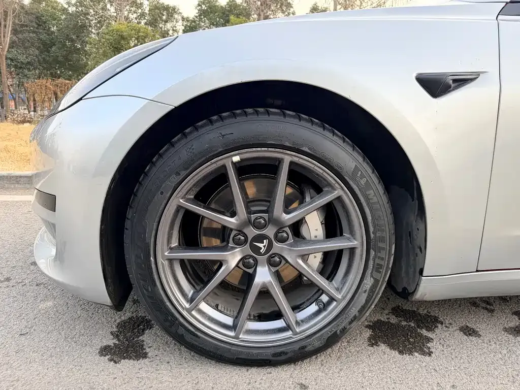 Tesla Model 3 2021 из CN, фото 5