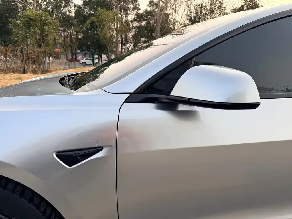 Tesla Model 3 2021 из CN, фото 2