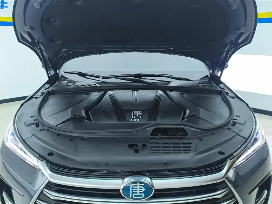 BYD Tang New Energy 2023 из CN, фото 9