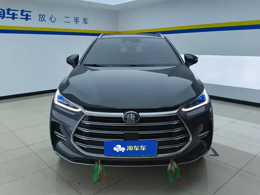 BYD Tang New Energy 2023 из CN, фото 2
