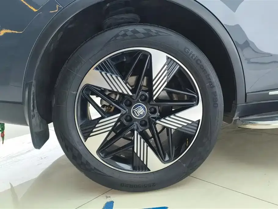 BYD Tang New Energy 2023 из CN, фото 3