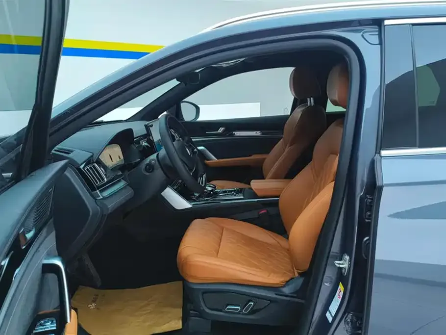 BYD Tang New Energy 2023 из CN, фото 6