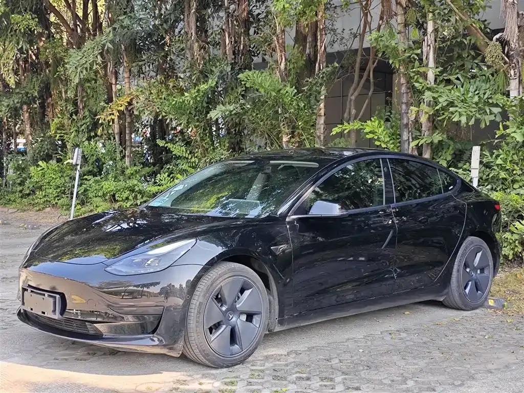 Tesla Model 3 2021 из CN, фото 1
