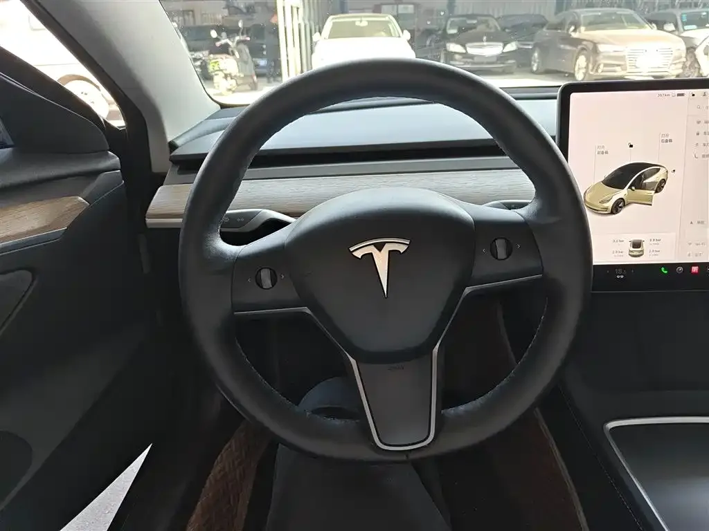Tesla Model 3 2021 из CN, фото 4