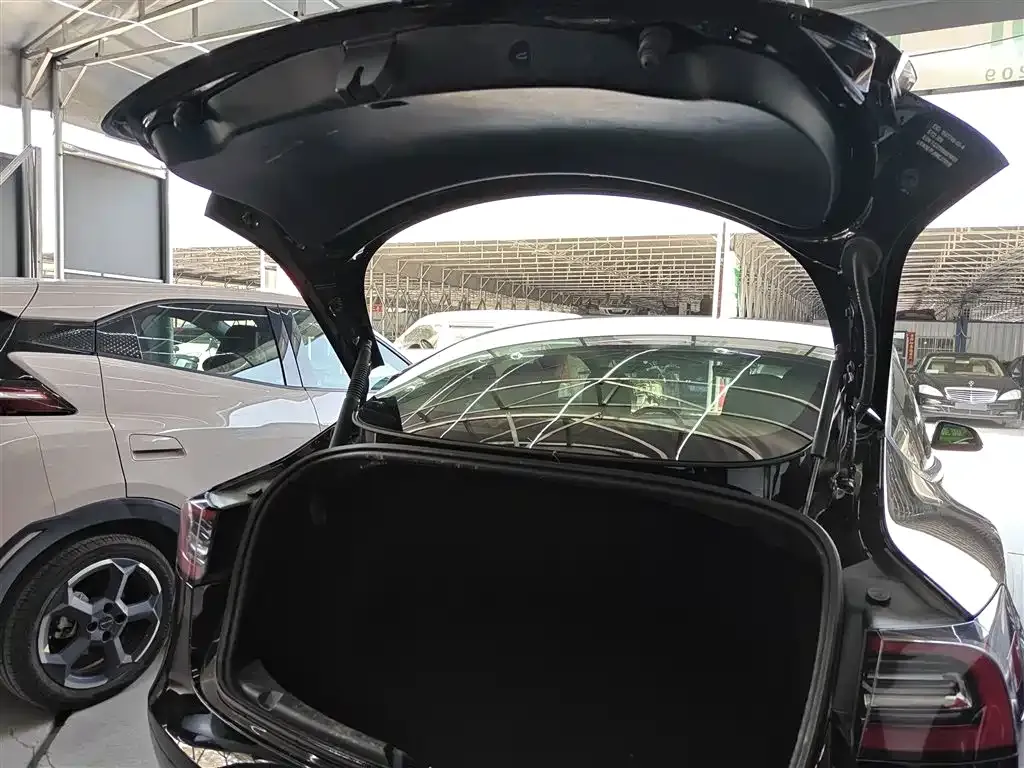 Tesla Model 3 2021 из CN, фото 7