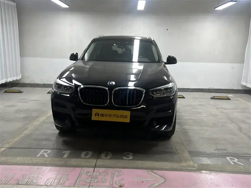 BMW X3 2021 из CN, фото 8