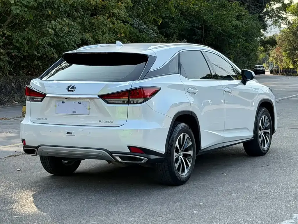 Lexus RX — фото 10