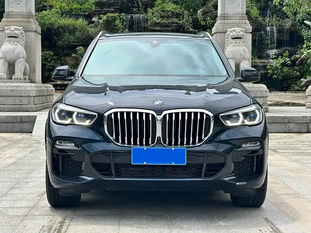 BMW X5 (Import) 2021 из CN, фото 5