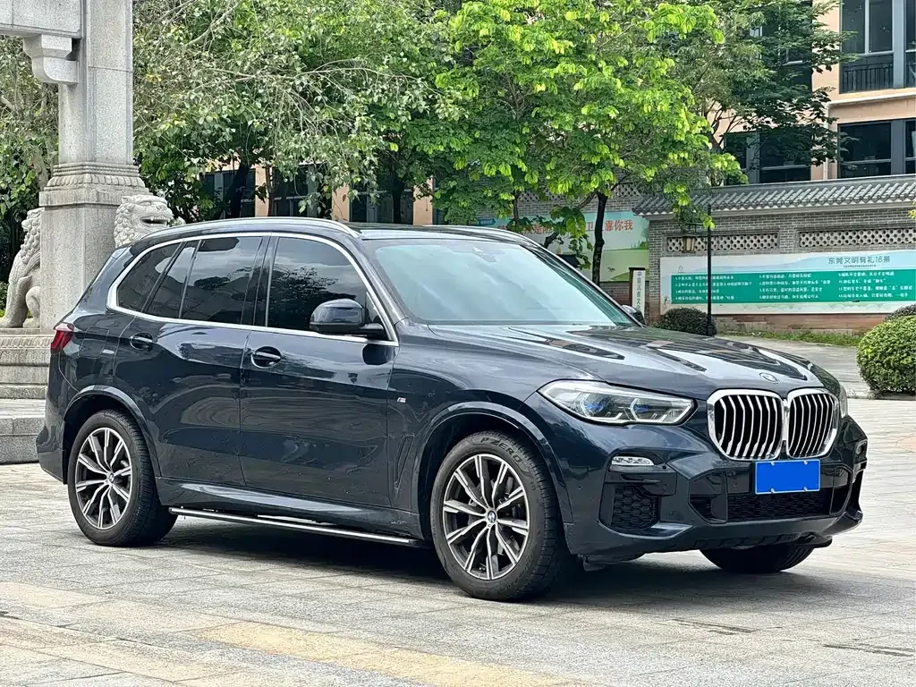 BMW X5 (Import) 2021 из CN, фото 8