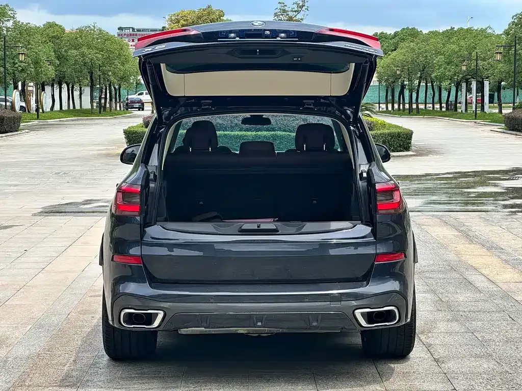 BMW X5 (Import) 2021 из CN, фото 9