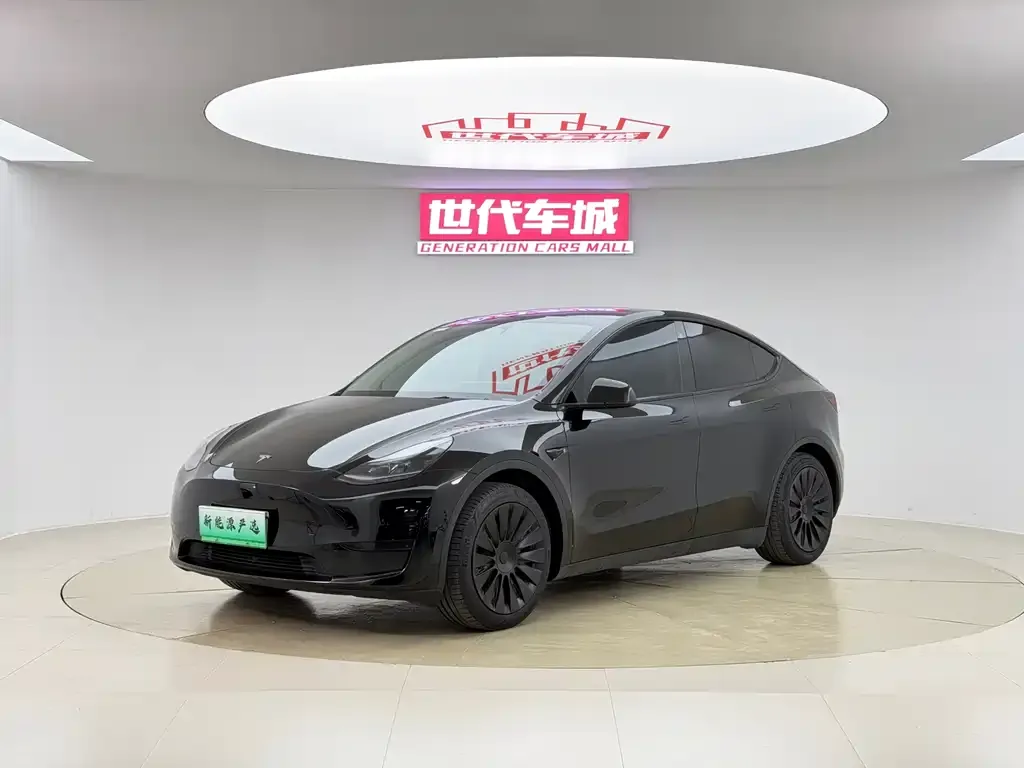 Tesla Model Y 2022 из CN, фото 1