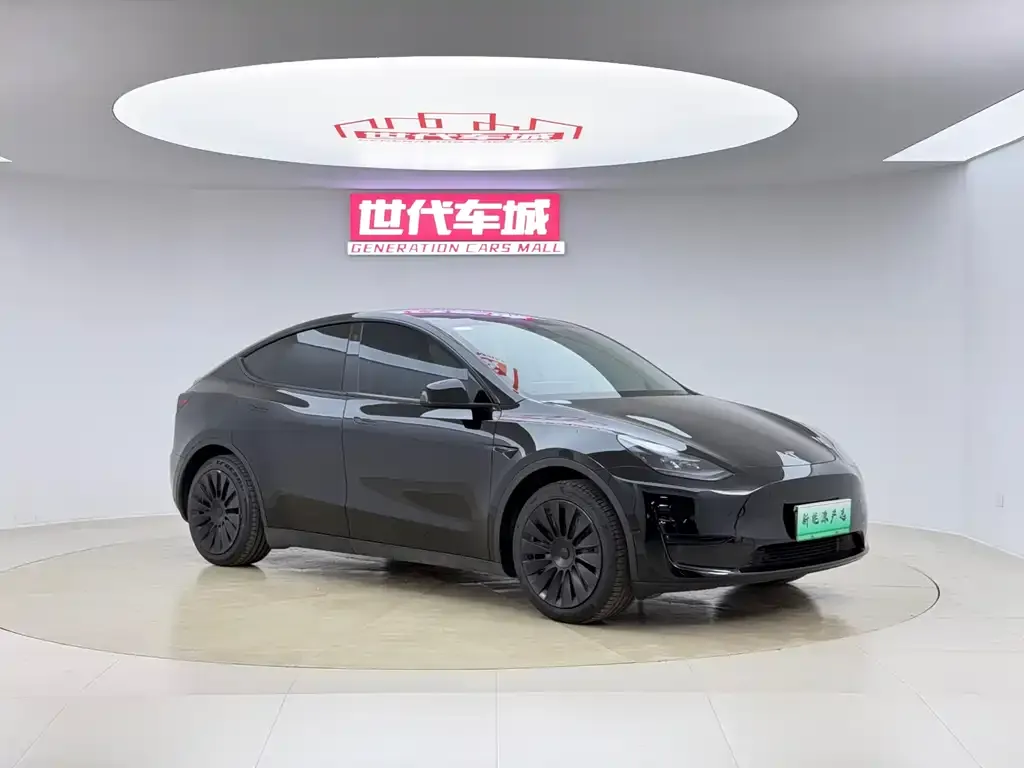 Tesla Model Y 2022 из CN, фото 9