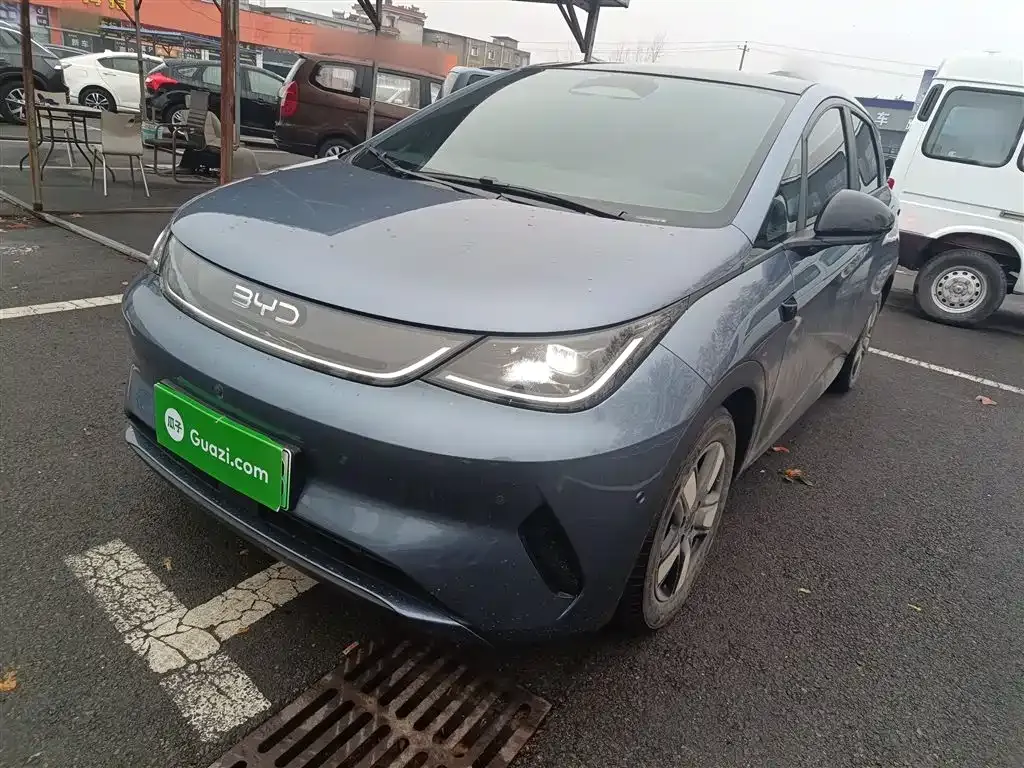 BYD Dolphin 2025 из CN, фото 1