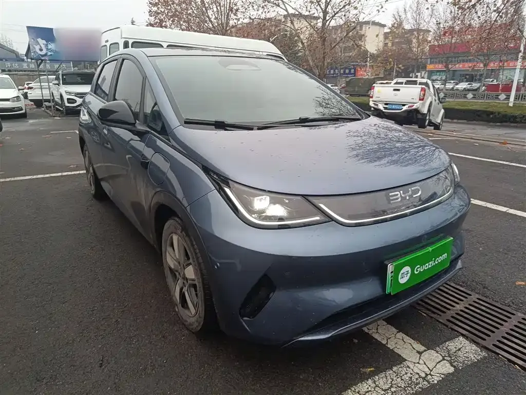 BYD Dolphin 2025 из CN, фото 4