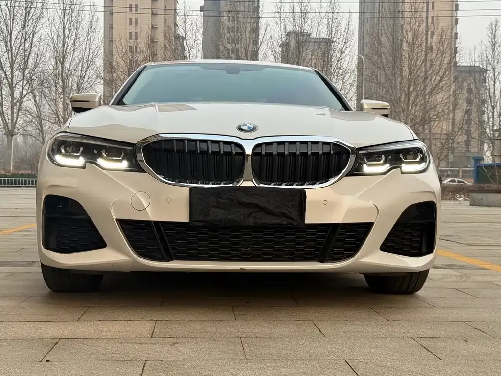 BMW 3 Series 2021 из CN, фото 9