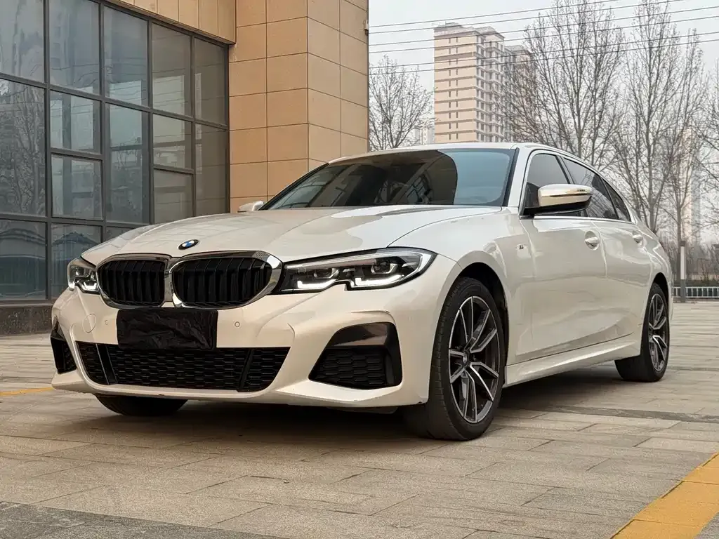 BMW 3 Series 2021 из CN, фото 7