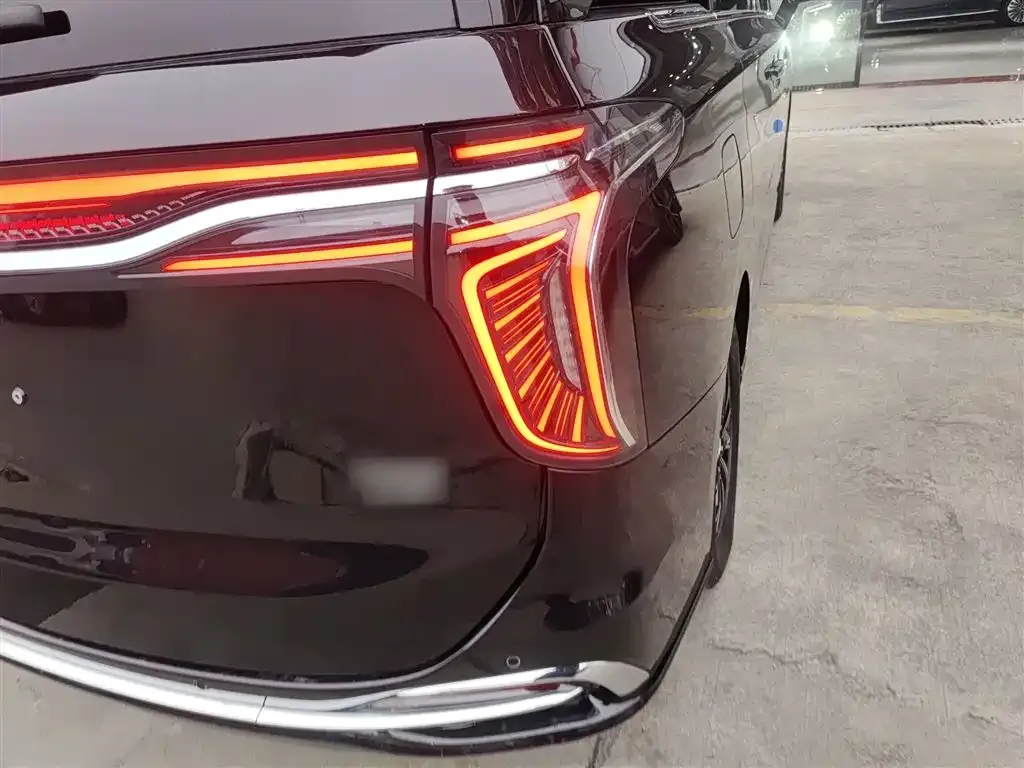 Hongqi HQ9 PHEV 2024 из CN, фото 10