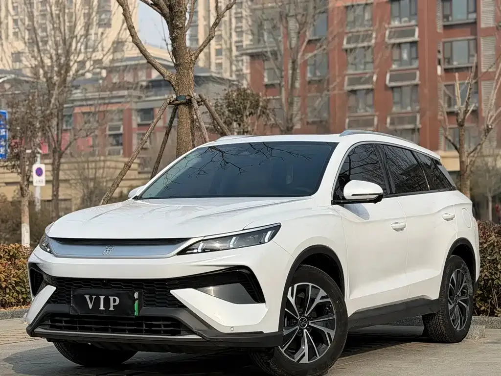 BYD Pro New Energy — фото 1