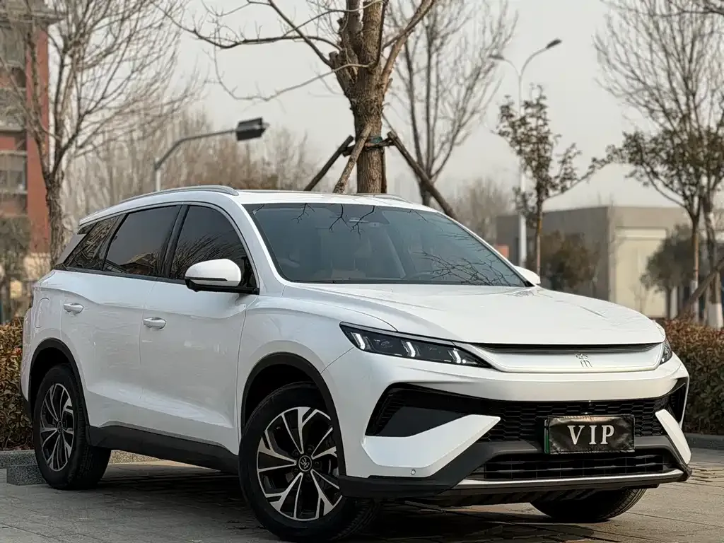 BYD Pro New Energy — фото 8