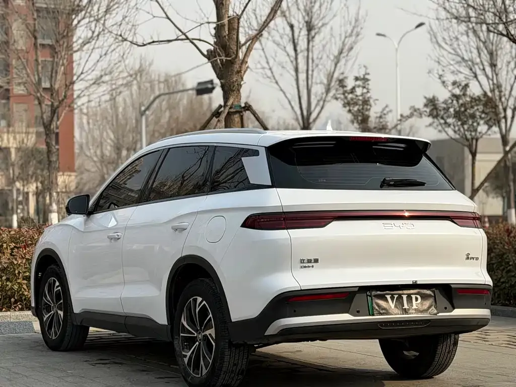 BYD Pro New Energy — фото 7