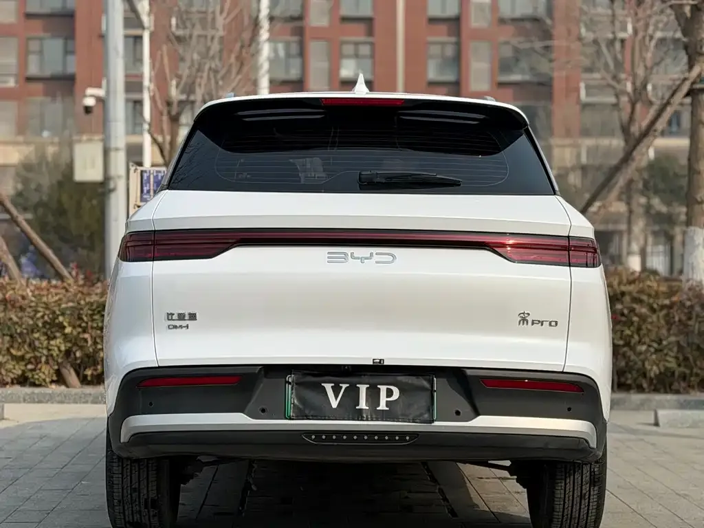 BYD Pro New Energy — фото 2