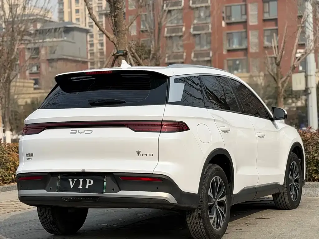 BYD Pro New Energy — фото 6