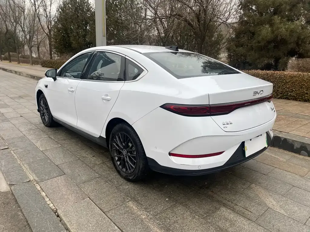 BYD Qin PLUS — фото 6
