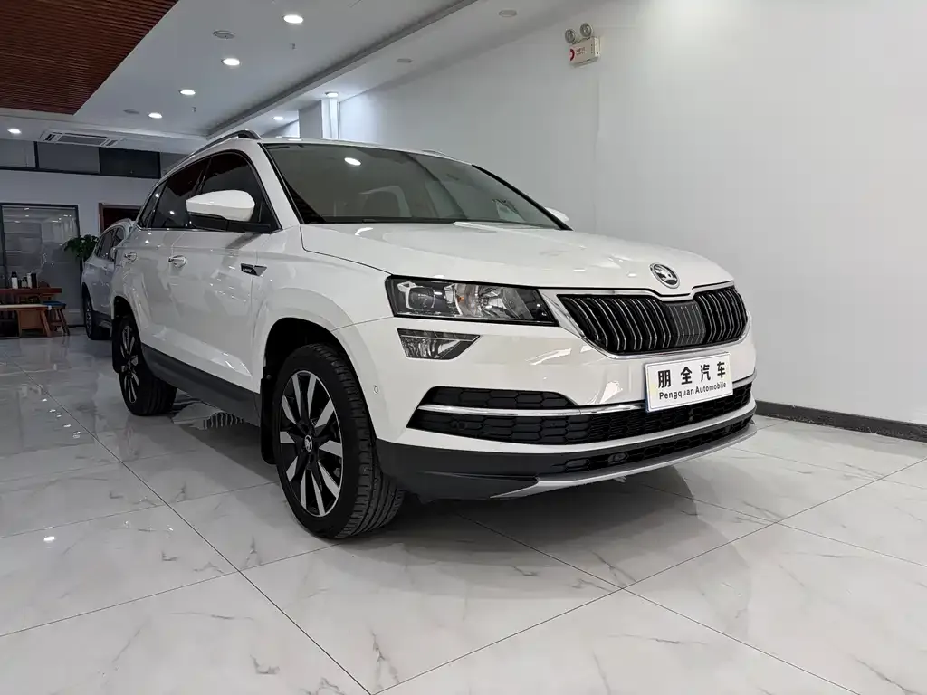 Skoda Karoq 2021 из CN, фото 7