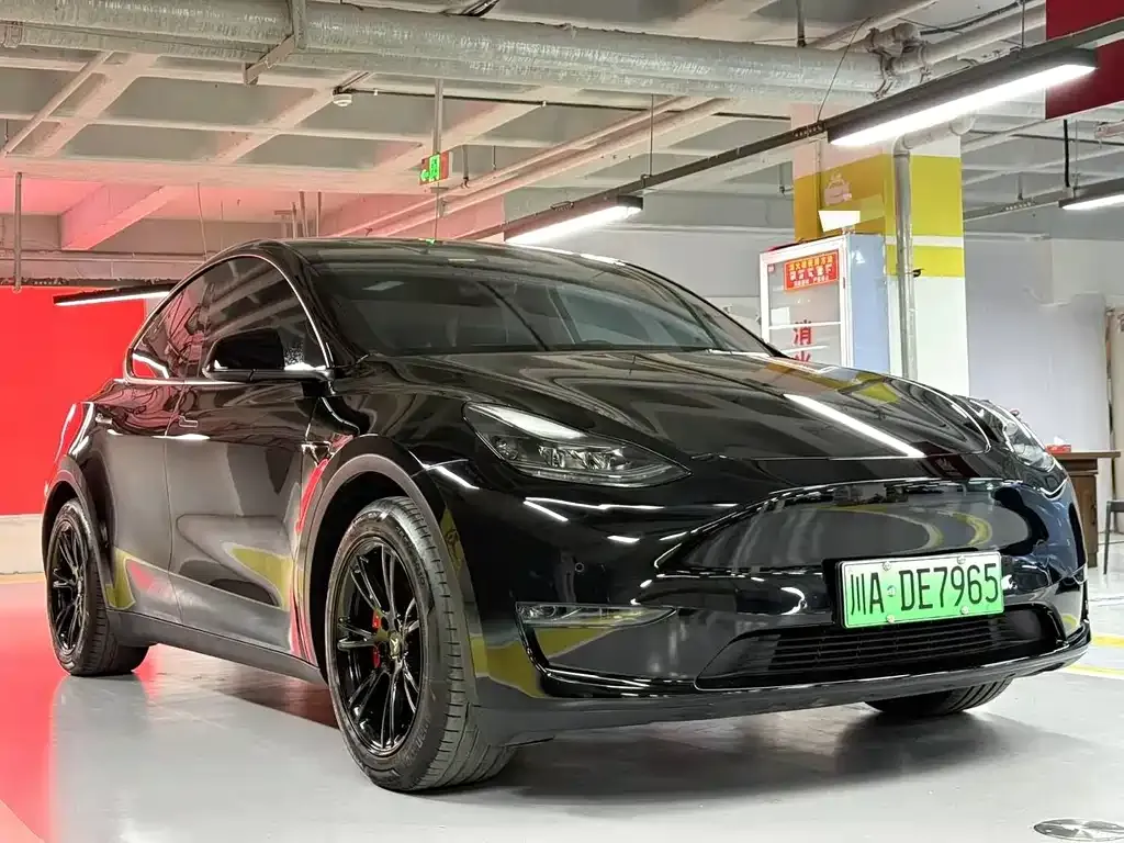 Tesla Model Y 2022 из CN, фото 1