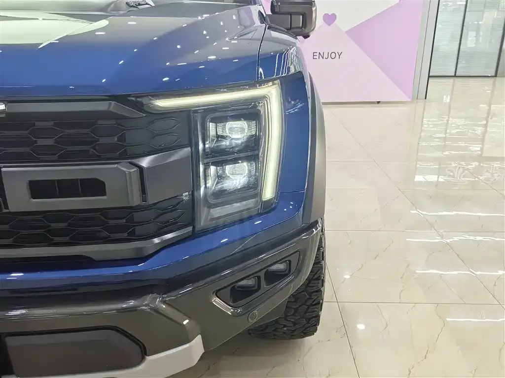 Ford F-150 Raptor 2023 из CN, фото 10