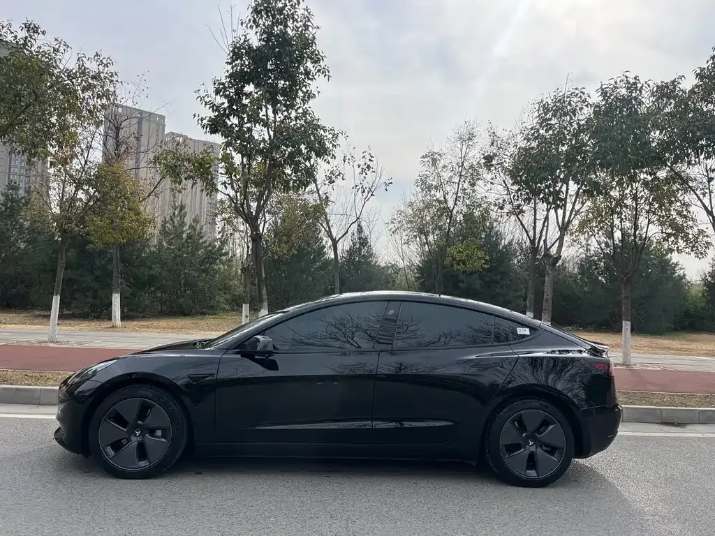 Tesla Model 3 — фото 2