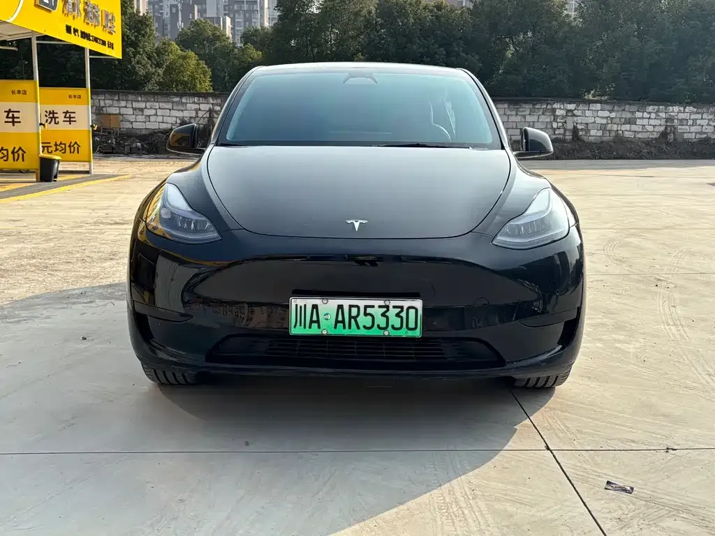 Tesla Model Y 2023 из CN, фото 5