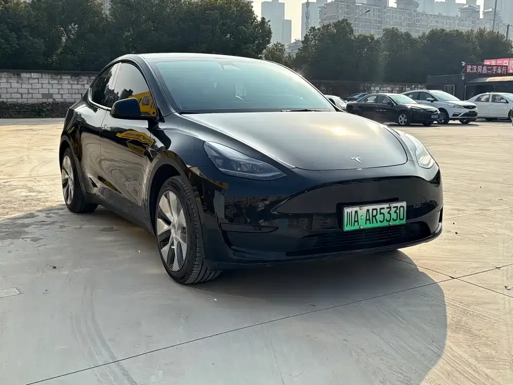 Tesla Model Y 2023 из CN, фото 3