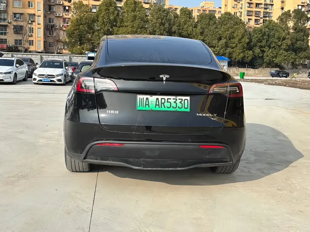 Tesla Model Y 2023 из CN, фото 9
