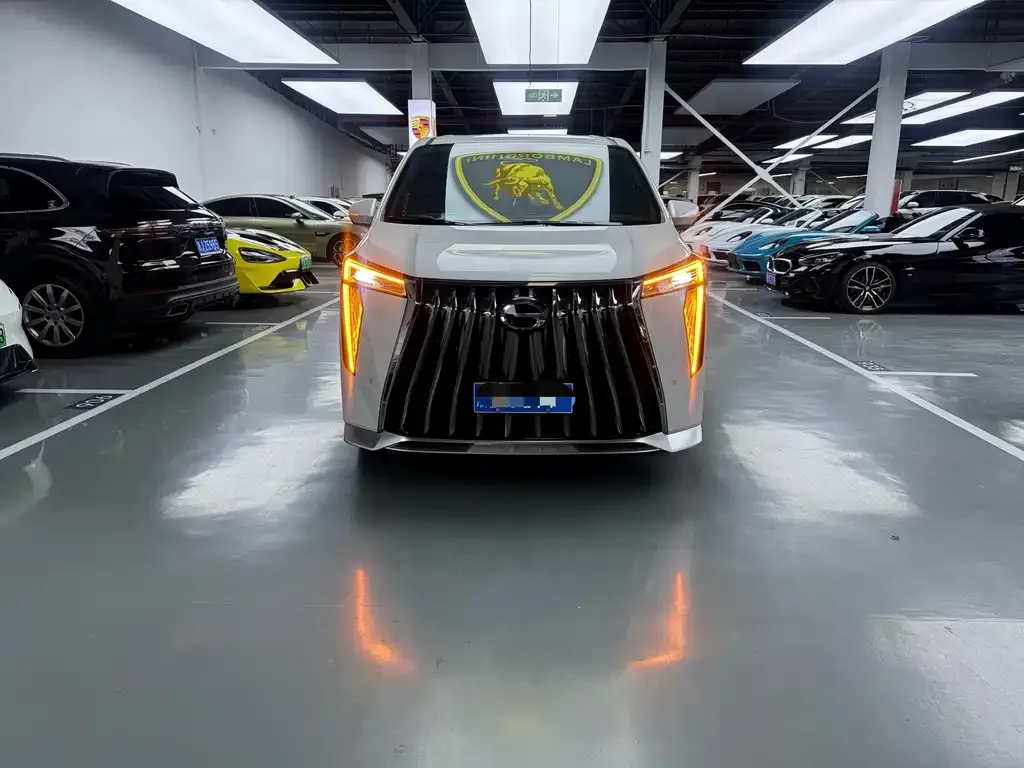 GAC Motor Trumpchi M8 — фото 10