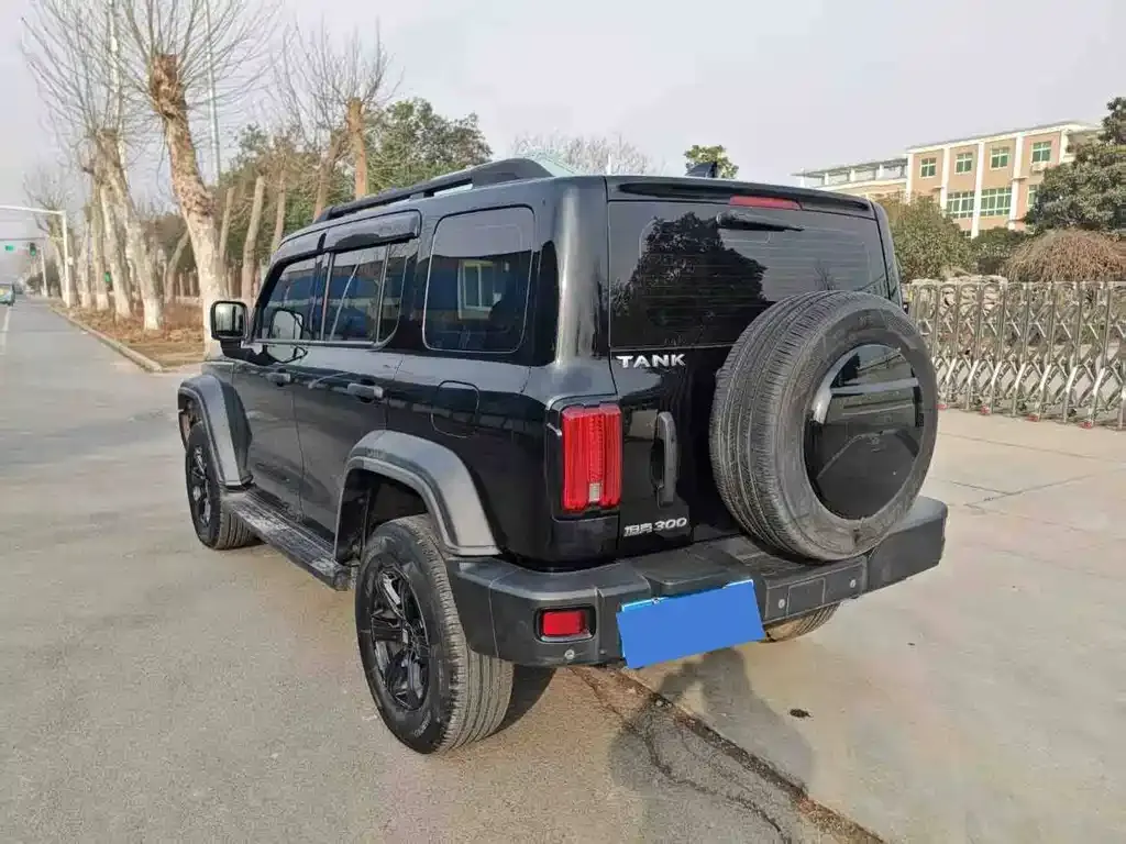 Tank 300 2022 из CN, фото 7