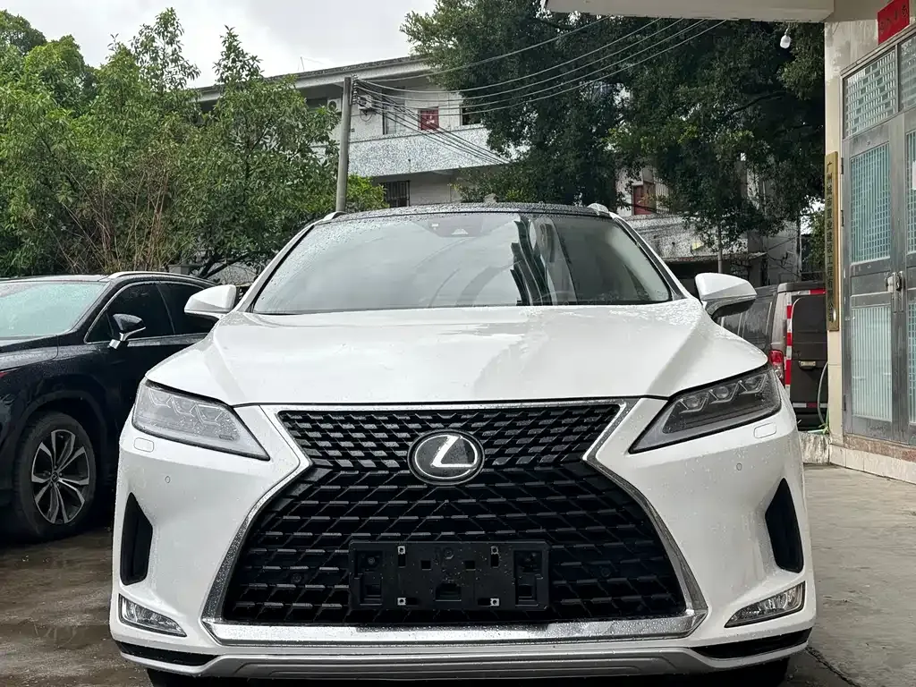 Lexus RX — фото 8