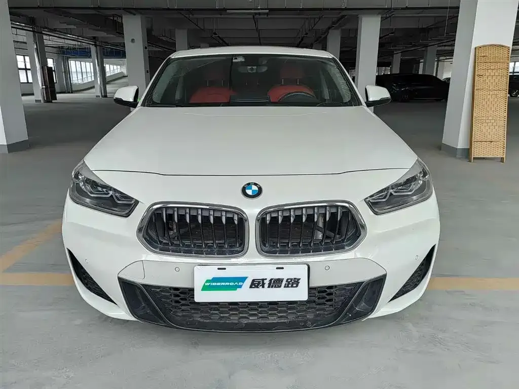 BMW X2 2022 из CN, фото 4
